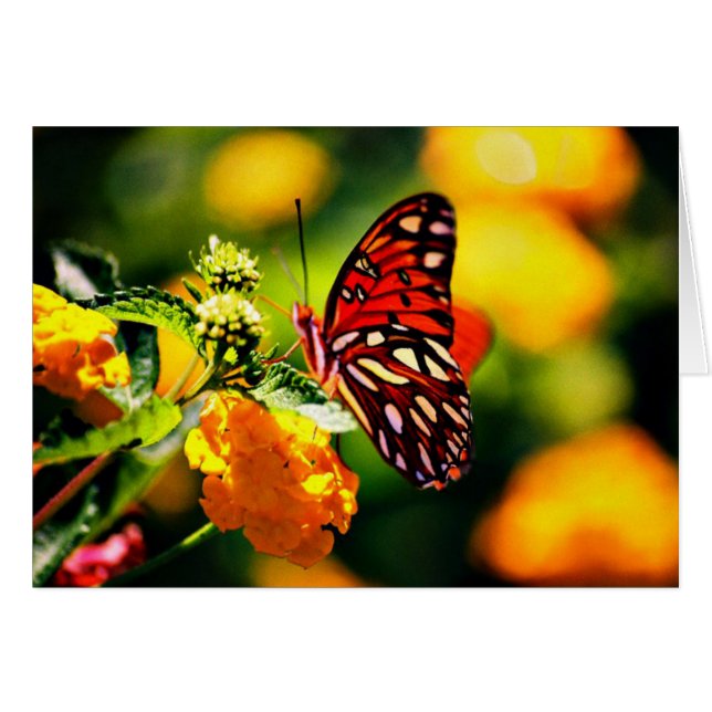 Koinonia   "道の団体" (正面横)