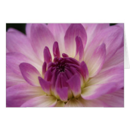 Koinonia "道の団体"