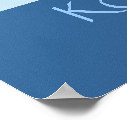 Kokohoshipelli ポスター (角)