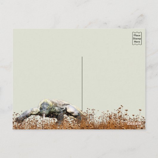 Komodo Dragon ポストカード (裏面)