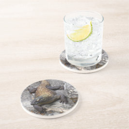 Komodo Dragon in Rocky Light コースター