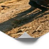 Komodo Dragon Indonesia National Park Wildlife Art ポスター (角)