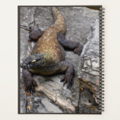 Komodo Dragon Nature Planner プランナー手帳 (裏面)