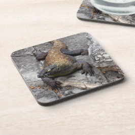 Komodo Dragon on Rugged Stones コースター