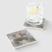 Komodo Dragon on Sunlit Rock ストーンコースター (横)