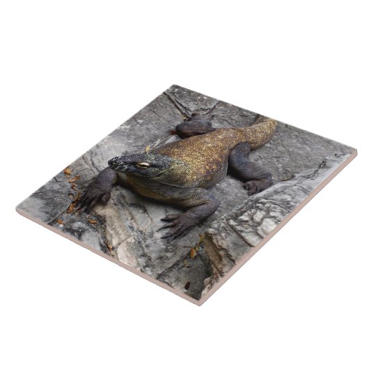 Komodo Dragon on Warm Rocks タイル (側面)