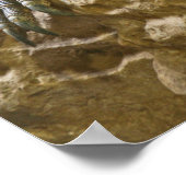 Komodo Dragon Poster ポスター (角)