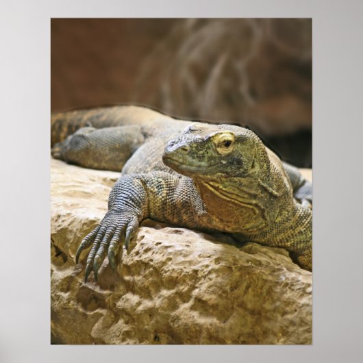 Komodo Dragon Poster ポスター (正面)
