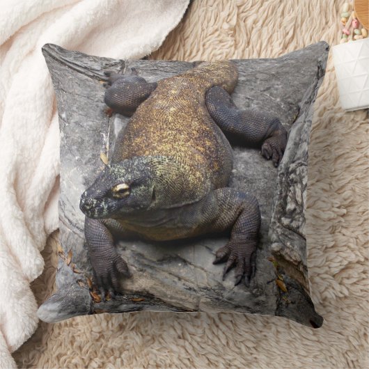Komodo Dragon Rock Perch Scene クッション (ブランケット)