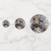 Komodo Dragon Rocky Scatter コンフェッティ (正面)