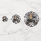 Komodo Dragon Rocky Scatter コンフェッティ (裏面)