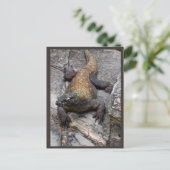 Komodo Dragon Rocky Scene ポストカード (スタンド正面)