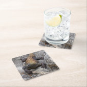 Komodo Dragon Stone Perch スクエアペーパーコースター (インサイチュ)