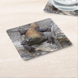 Komodo Dragon Stone Perch スクエアペーパーコースター