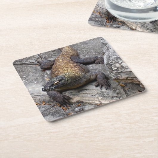 Komodo Dragon Stone Perch スクエアペーパーコースター (アングル)