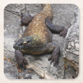 Komodo Dragon Stone Perch スクエアペーパーコースター (正面)