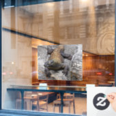 Komodo Dragon Sunlit Rock Scene ウィンドウサイン (カフェ窓)