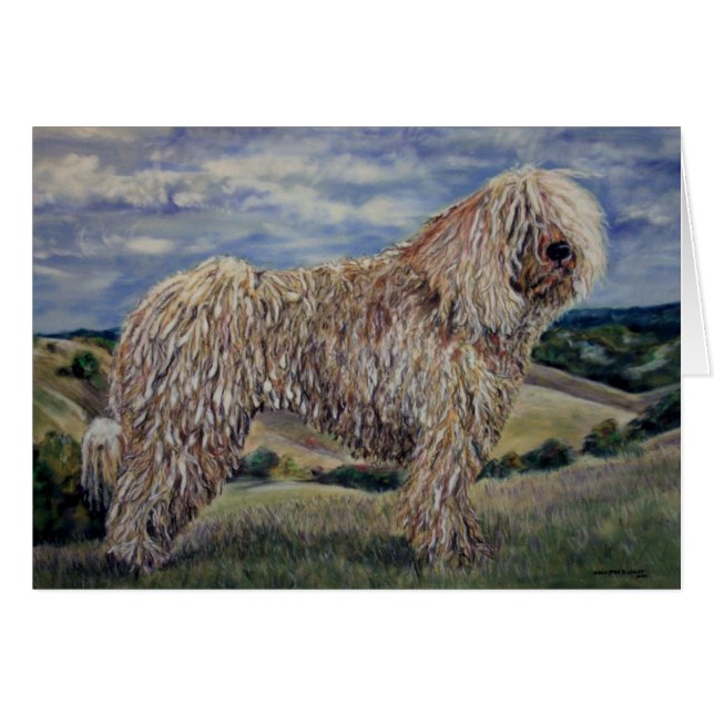 Komondor (正面横)