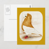 Komorner Yellow Mag Pigeon 1973 ポストカード (正面/裏面)