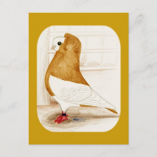 Komorner Yellow Mag Pigeon 1973 ポストカード (正面)