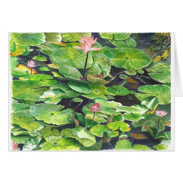 Konaの島の植物園 (正面横)