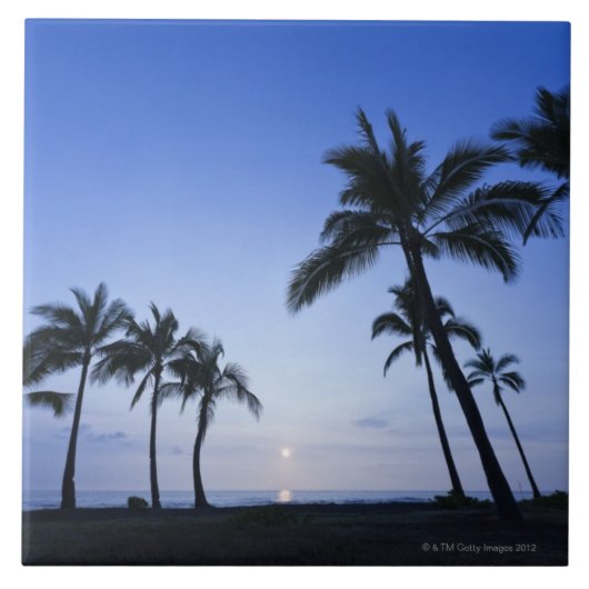Kona、ハワイのKahaluu湾の日没 タイル (正面)