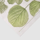 Konversations離れ (1894) Ephemera Decompage 薄葉紙 (詳細)