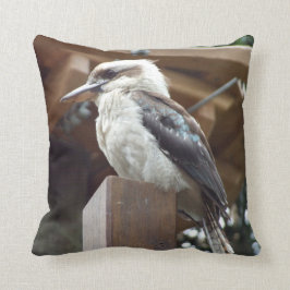 Kookaburraのクッション クッション