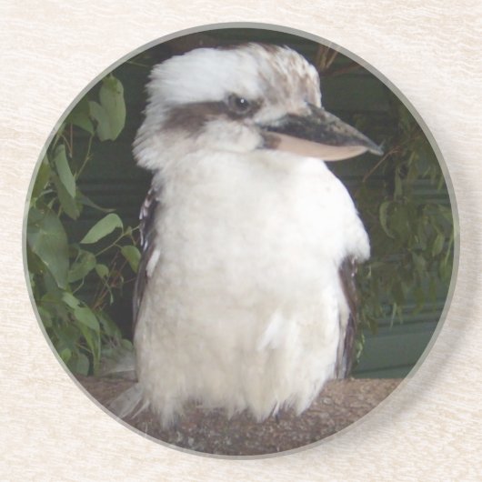 Kookaburraのコースター コースター (正面)