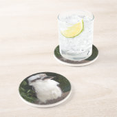 Kookaburraのコースター コースター (側面)
