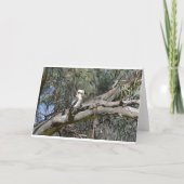 Kookaburraのバースデー・カード カード (裏面)