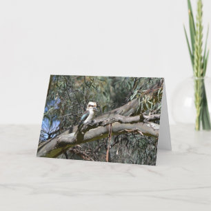 Kookaburraのバースデー・カード カード