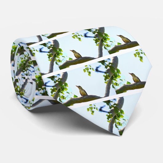 KOOKABURRAクイーンズランドオーストラリア ネクタイ (ロール)