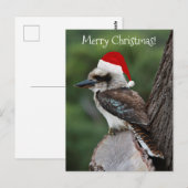 Kookaburra鳥の動物レッドサンタハットクリスマス ポストカード (正面/裏面)