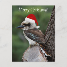 Kookaburra鳥の動物レッドサンタハットクリスマス ポストカード