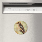 Kookaburra – オーストラリアのバードアート マグネット (インサイチュ (食洗機))