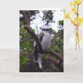 Kookaburra カード (黄色い花)