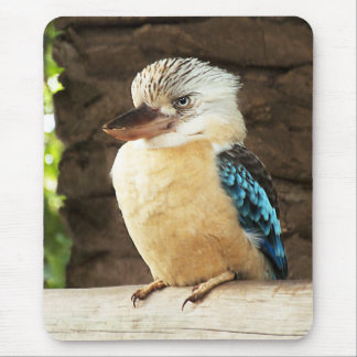 Kookaburra マウスパッド