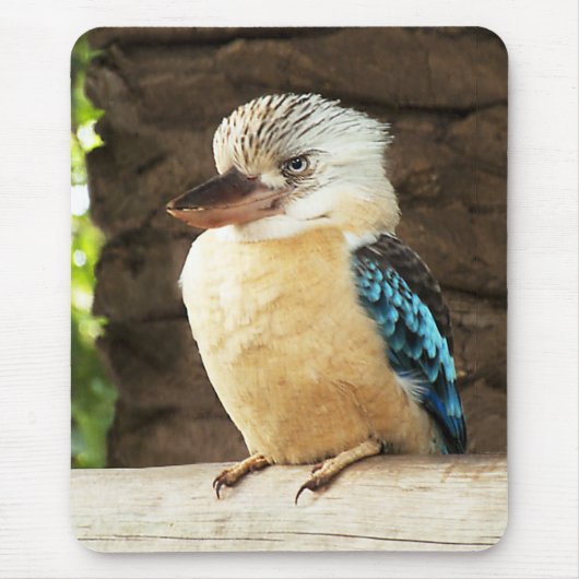 Kookaburra マウスパッド (正面)