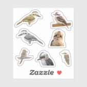 Kookaburra Stickers シール (シート)