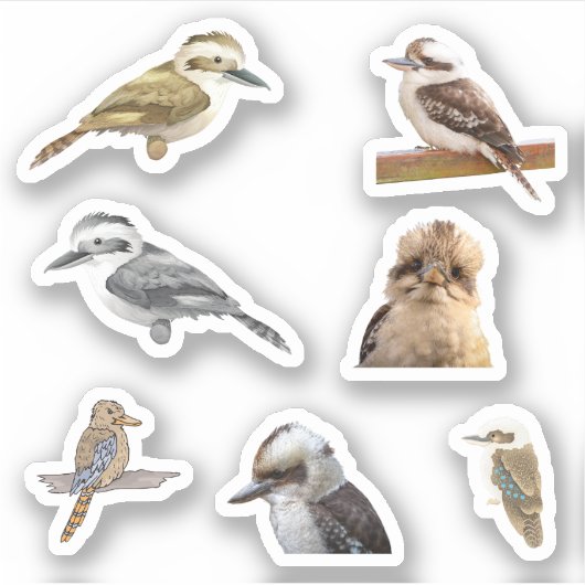 Kookaburra Stickers シール (正面)