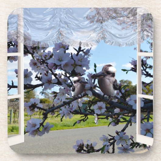 Kookaburras In My Window, Coaster Set コースター (正面)