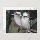 Kookaburras post card ポストカード (正面/裏面)