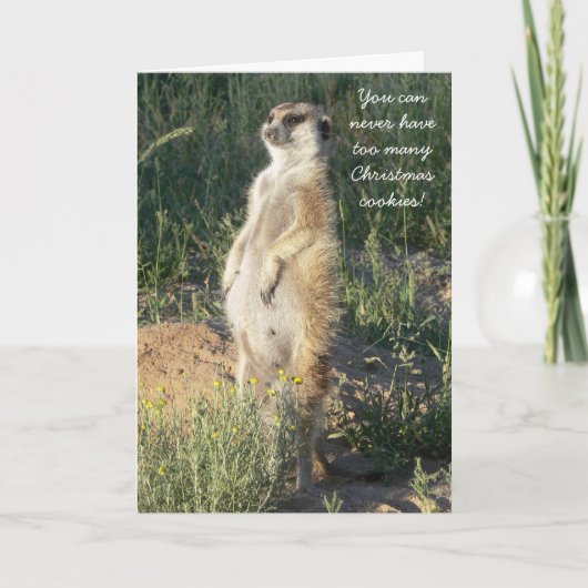 Kookie Klenky -季節のごあいさつ挨拶状 シーズンカード (正面)