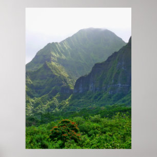 Koolau山 ポスター