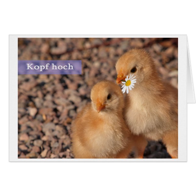 Kopf hoch (正面横)