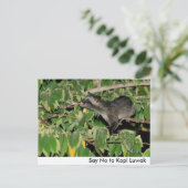 Kopi Luwakはがきに対してNoと答える ポストカード (スタンド正面)