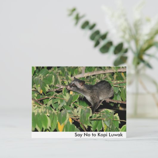 Kopi Luwakはがきに対してNoと答える ポストカード (スタンド正面)