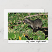 Kopi Luwakはがきに対してNoと答える ポストカード (正面/裏面)