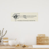 Korbschläger Fencing Sword ポスター (キッチン)